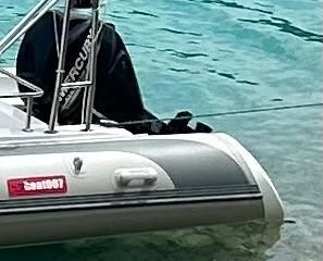 MERCURY F 30 EFI ELPT MERCURY F 30 EFI ELPT