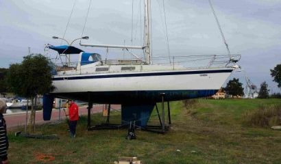 Námořní plachetnice