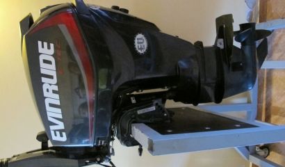 Evinrude 30hp, E-TEC, L,