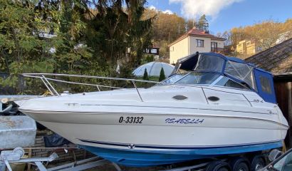Sea ray 240 sundancer